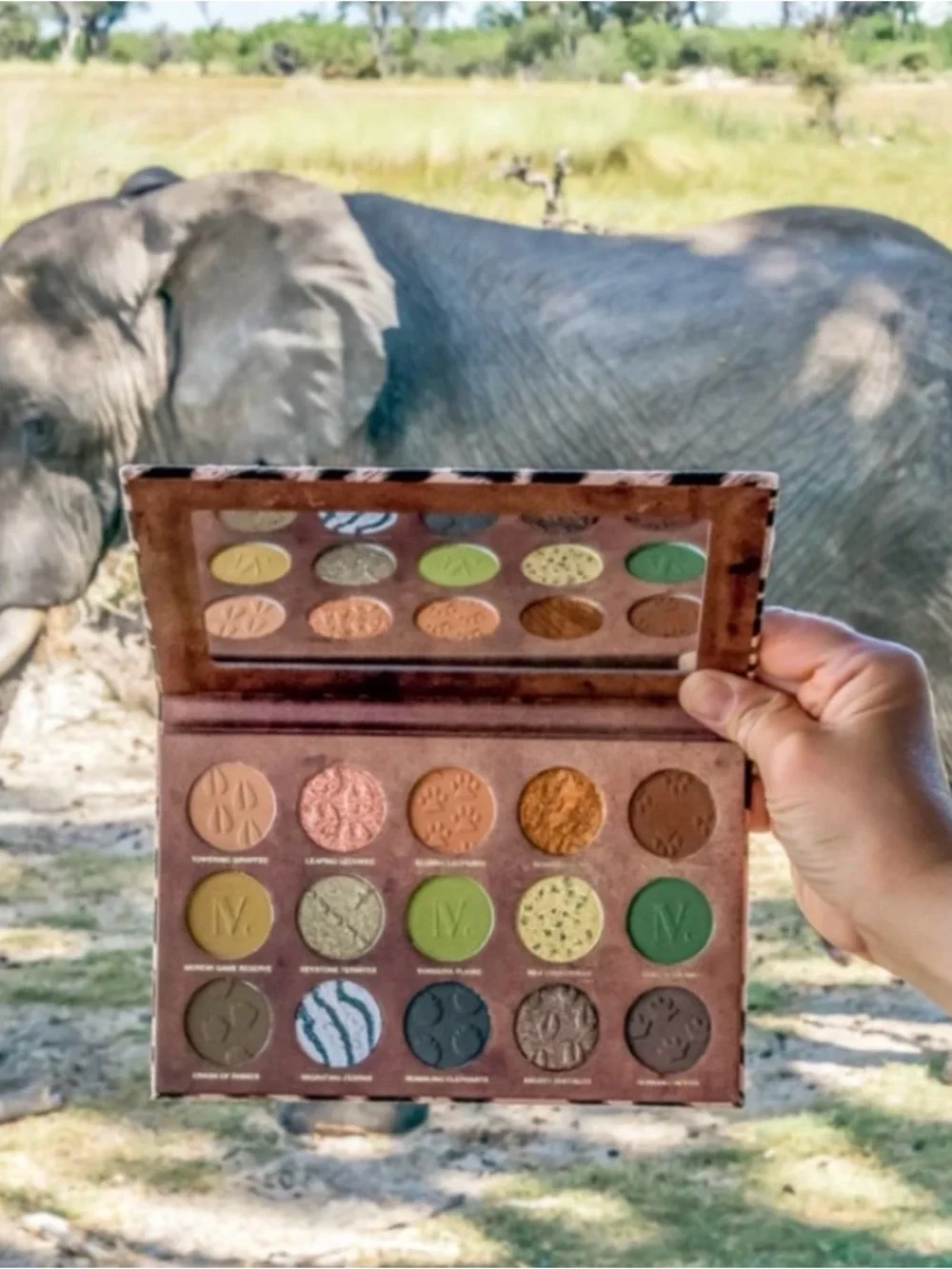 NEW✅Nomad Okavango Safari Intense Eyeshadow palette